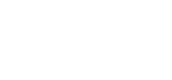 CV DIMENSIONES